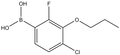 4-Chloro-2-fluoro-3-propoxyphenylboronic acid 