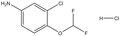3-Chloro-4-(difluoromethoxy)aniline HCl 