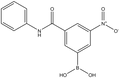 3-(Phenylaminocarbonyl)-5-nitrophenylboronic acid 