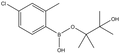 4-Chloro-2-methylphenylboronic acid pinacol ester 