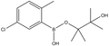 5-Chloro-2-methylphenylboronic acid pinacol ester 