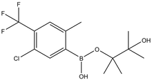 5-Chloro-2-methyl-4-(trifluoromethyl)phenylboronic acid pinacol ester 