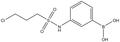3-(3-Chloropropylsulfonamido)phenylboronic acid 