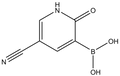 5-Cyano-1,2-dihydro-2-oxopyridine-3-boronic acid 