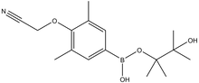 4-Cyanomethoxy-3,5-dimethylphenylboronic acid pinacol ester 