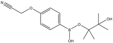 4-Cyanomethoxyphenylboronic acid pinacol ester 