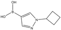 (1-Cyclobutylpyrazol-4-yl)boronic acid 
