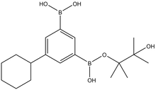 5-Cyclohexylphenylene-1,3-diboronic acid pinacol ester 