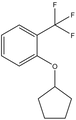 2-(Cyclopentyloxy)benzotrifluoride 