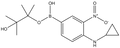 4-Cyclopropylamino-3-nitrophenylboronic acid pinacol ester 