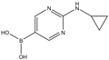 2-(Cyclopropylamino)pyrimidine-5-boronic acid 