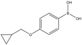 4-(Cyclopropylmethoxy)phenylboronic acid 