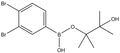 3,4-Dibromophenylboronic acid pinacol ester 