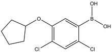 2,4-Dichloro-5-(cyclopentyloxy)phenylboronic acid 