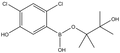 2,4-Dichloro-5-hydroxyphenylboronic acid pinacol ester 