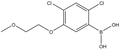 2,4-Dichloro-5-(2-methoxyethoxy)phenylboronic acid 