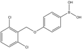 4-(2,6-Dichlorophenylmethoxy)phenylboronic acid 