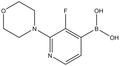 3-Fluoro-2-morpholinopyridine-4-boronic acid 