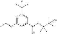 2-Ethoxy-6-trifluoromethylpyridine-4-boronic acid pinacol ester 
