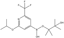 2-Isopropoxy-6-trifluoromethylpyridine-4-boronic acid pinacol ester 