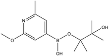 6-Methoxy-2-picoline-4-boronic acid pinacol ester 