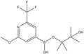 2-Methoxy-6-trifluoromethylpyridine-4-boronic acid pinacol ester 