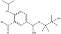 4-Isopropylamino-3-nitrophenylboronic acid pinacol ester 