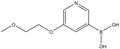 5-(2-Methoxyethoxy)pyridine-3-boronic acid 