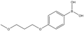 4-(3-methoxypropoxy)phenylboronic acid 