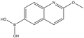 2-Methoxyquinolin-6-ylboronic acid 