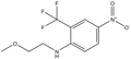 N-(2-Methoxyethyl)-4-nitro-2-(trifluoromethyl)aniline
