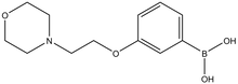 3-(2-Morpholinoethoxy)phenylboronic acid 