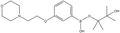 3-(2-Morpholinoethoxy)phenylboronic acid pinacol ester 1 g