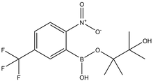 2-Nitro-5-trifluoromethylphenylboronic acid pinacol ester 