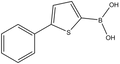 5-Phenylthiophene-2-boronic acid 