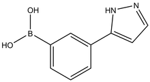 [3-(1H-Pyrazol-5-yl)phenyl]boronic acid 