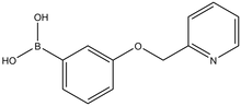 3-(Pyridin-2-ylmethoxy)phenylboronic acid 