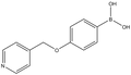 4-(Pyridin-4-ylmethoxy)phenylboronic acid 