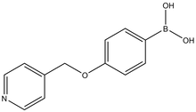 4-(Pyridin-4-ylmethoxy)phenylboronic acid 