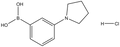 3-Pyrrolidinophenylboronic acid HCl 