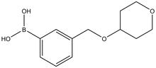 3-(Tetrahydropyran-4-yloxymethy)phenylboronic acid 