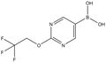 2-(2,2,2-Trifluoroethoxy)pyrimidine-5-boronic acid 