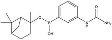 3-Ureidophenylboronic acid pincol ester 