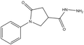  5-Oxo-1-phenylpyrrolidine-3-carbohydrazide