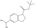1-(tert-Butoxycarbonyl)-5-indolineboronic acid