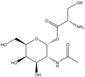 2-Acetamido-2-deoxy-a-D-galactopyranosyl serine