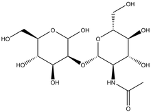 2-O-(2-Acetamido-2-deoxy-b-D-glucopyranosyl)-D-mannopyranose