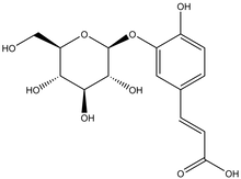 Caffeic acid 3-O-b-D-glucopyranoside