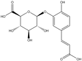 Caffeic acid 3-O-b-D-glucuronide