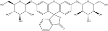 Fluorescein di-b-D-glucopyranoside